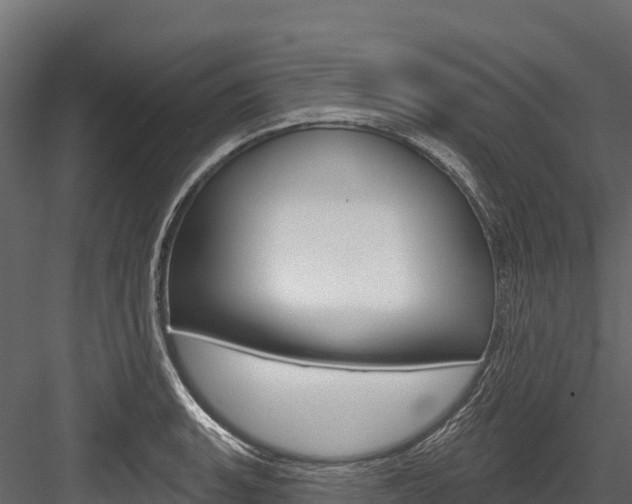 X0000084561135200702230954