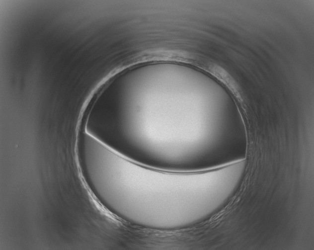 X0000084561136200702230954