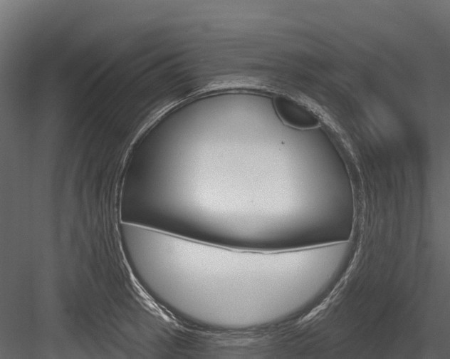 X0000084561137200702230954