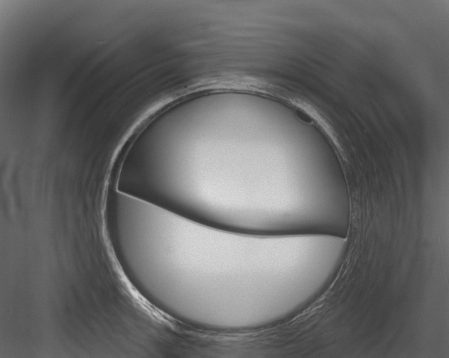 X0000084561139200702230954