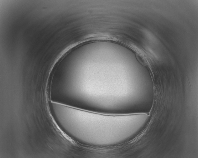 X0000084561141200702230955