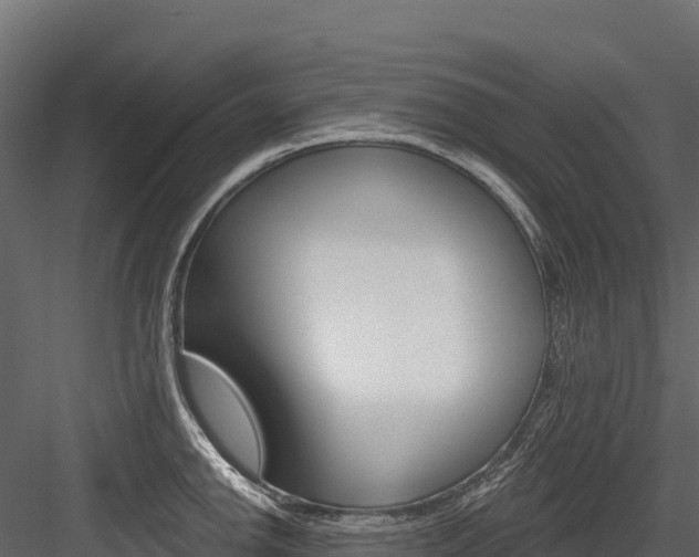 X0000084561142200702230955