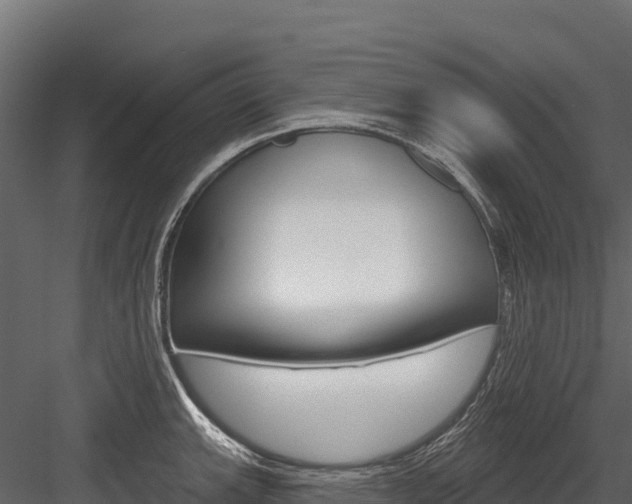 X0000084561143200702230955