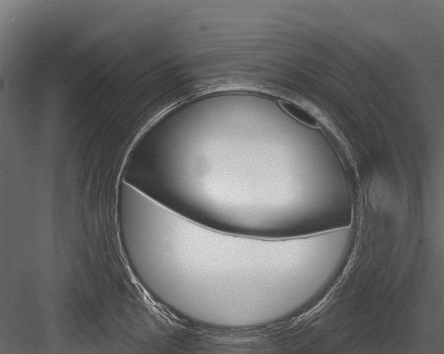 X0000084561145200702230955