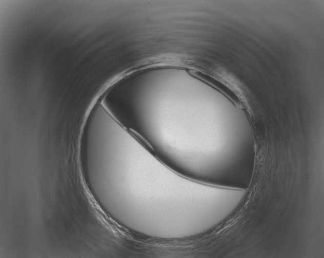 X0000084561146200702230955