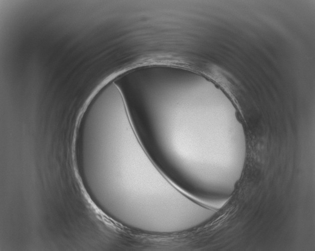 X0000084561147200702230955