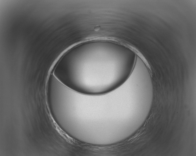 X0000084561148200702230955