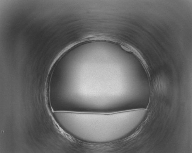 X0000084561149200702230955