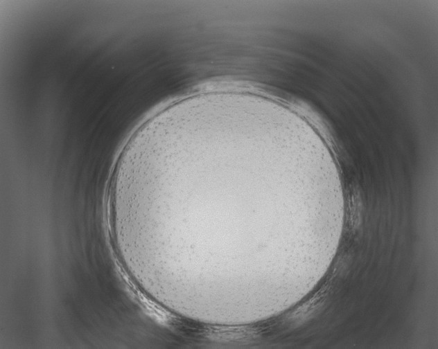 X0000084561150200702230955