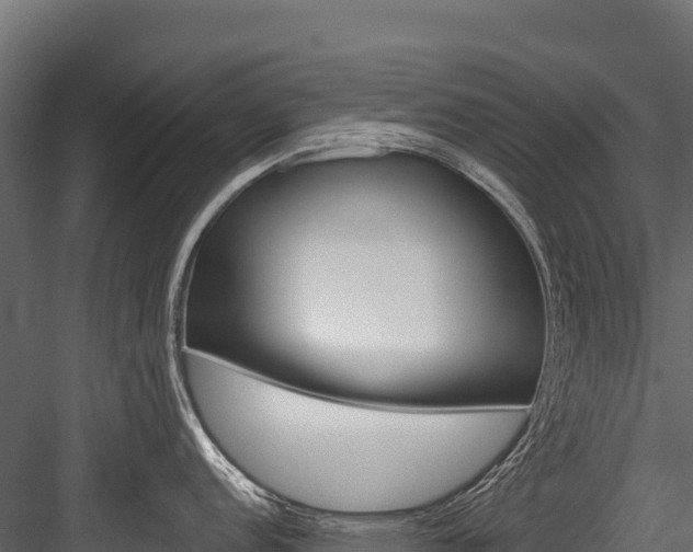 X0000084561152200702230955