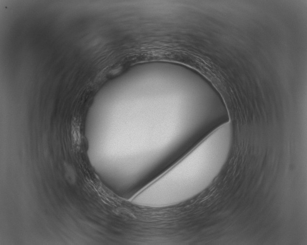 X0000084561155200702230954