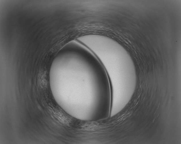 X0000084561156200702230954