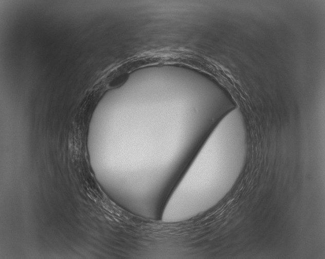 X0000084561158200702230954