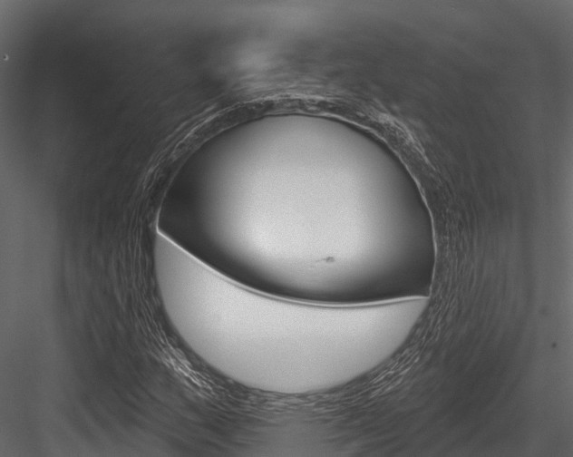 X0000084561159200702230954