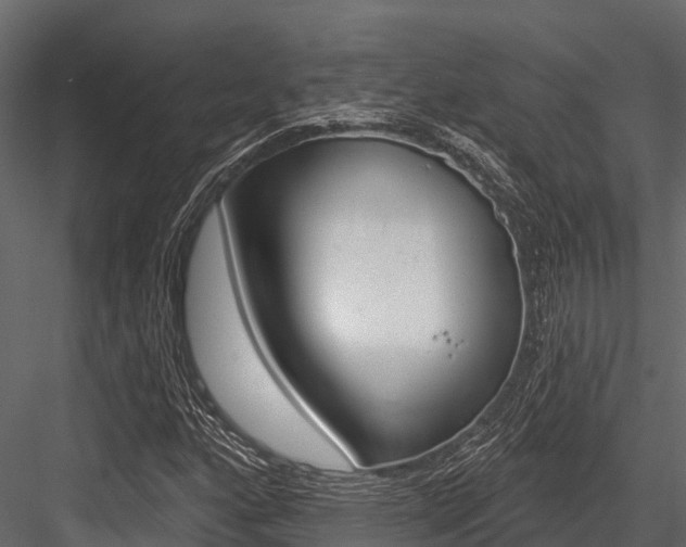 X0000084561160200702230954