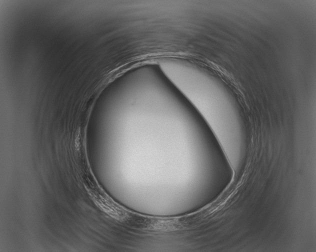 X0000084561161200702230954