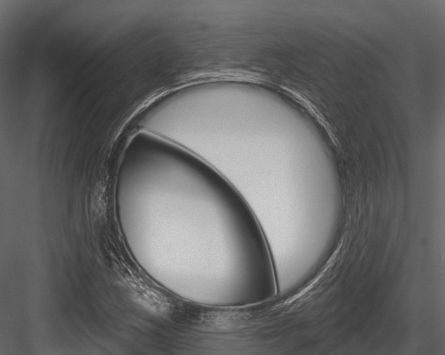 X0000084561163200702230954