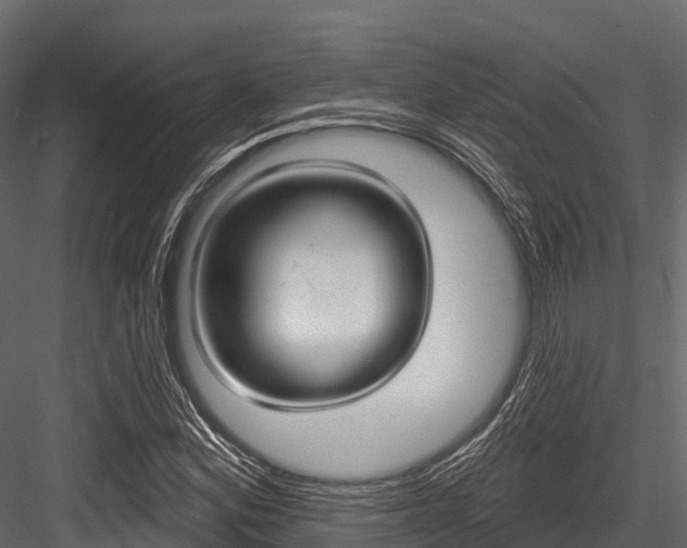 X0000084561164200702230954