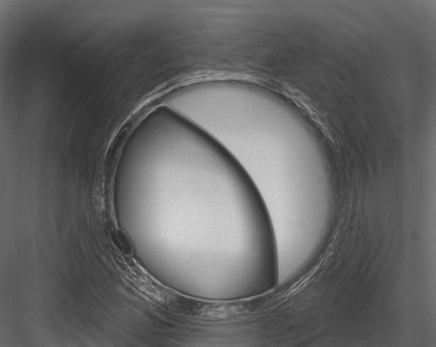 X0000084561165200702230954