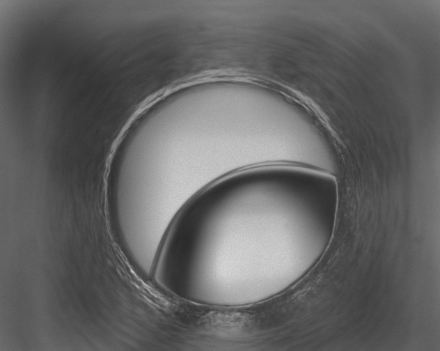 X0000084561168200702230954