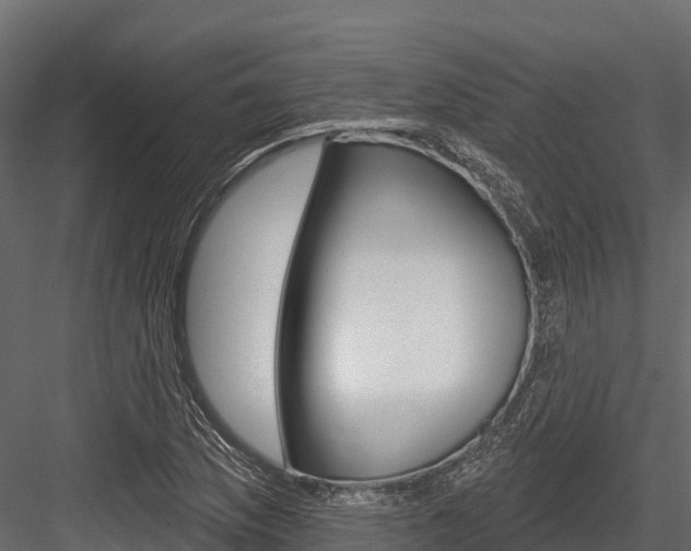 X0000084561169200702230954