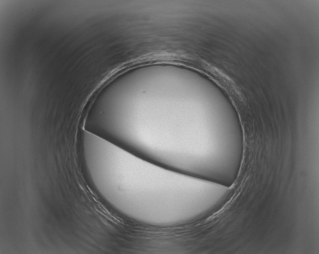 X0000084561170200702230954