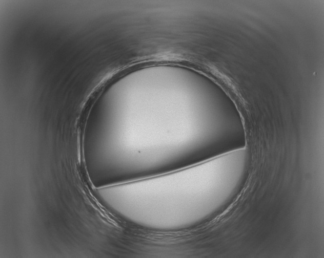X0000084561171200702230954