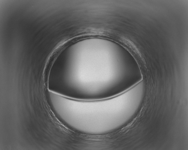 X0000084561172200702230954
