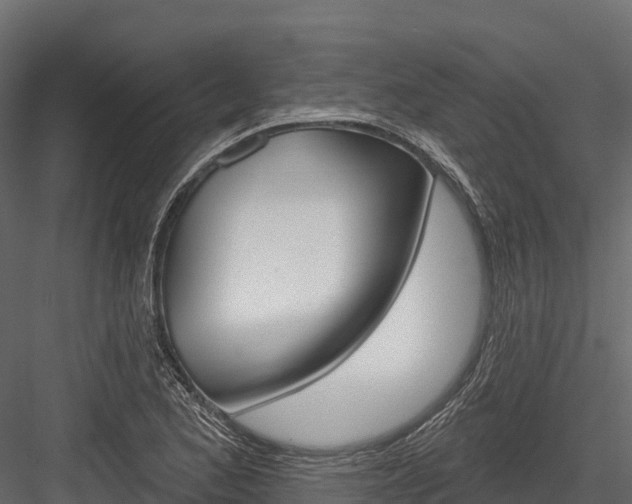 X0000084561173200702230954