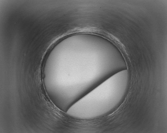 X0000084561174200702230954