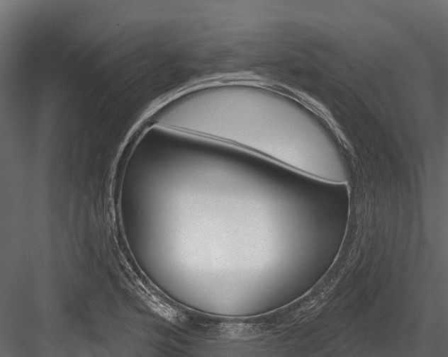 X0000084561176200702230953