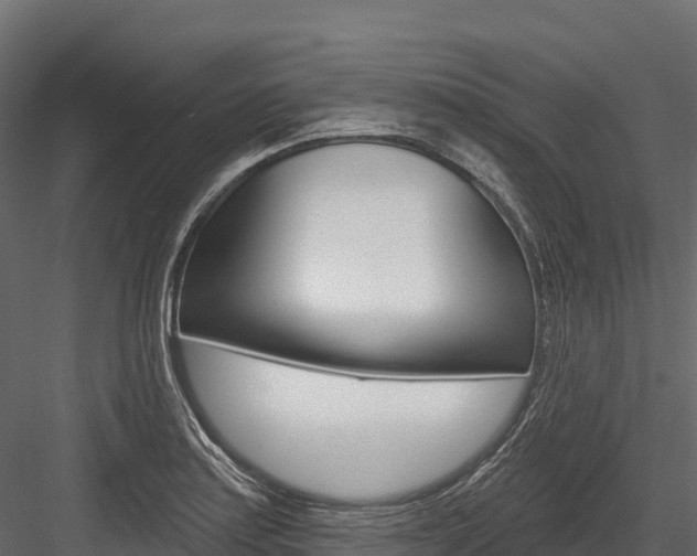 X0000084561179200702230953