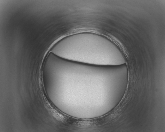 X0000084561182200702230953