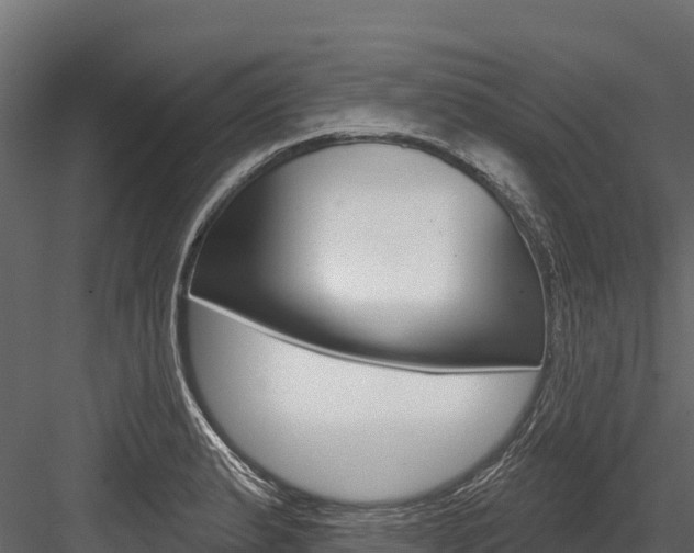 X0000084561183200702230953