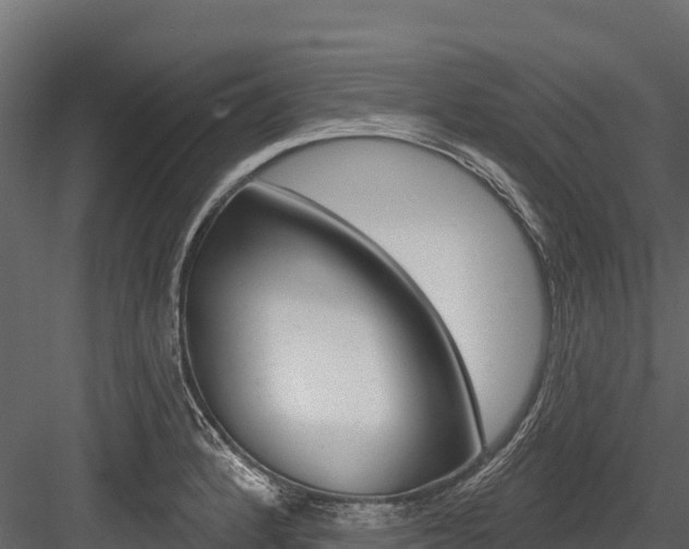X0000084561184200702230953