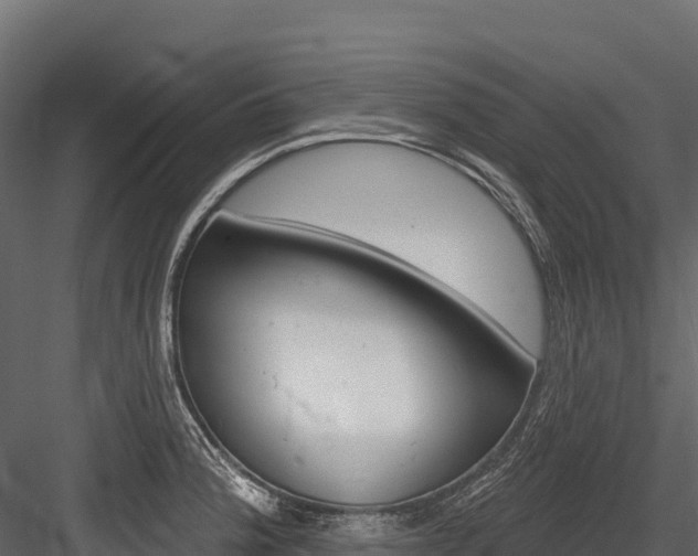 X0000084561188200702230953