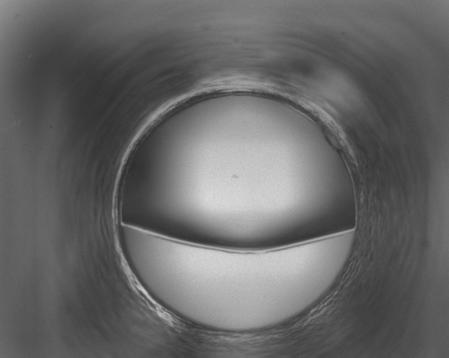 X0000084561191200702230953