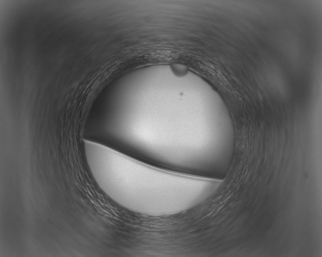 X0000084561201200702230952