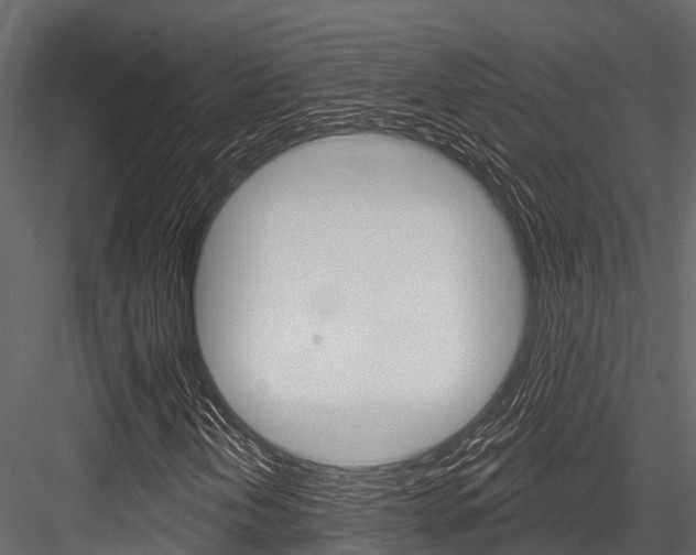 X0000084561202200702230952