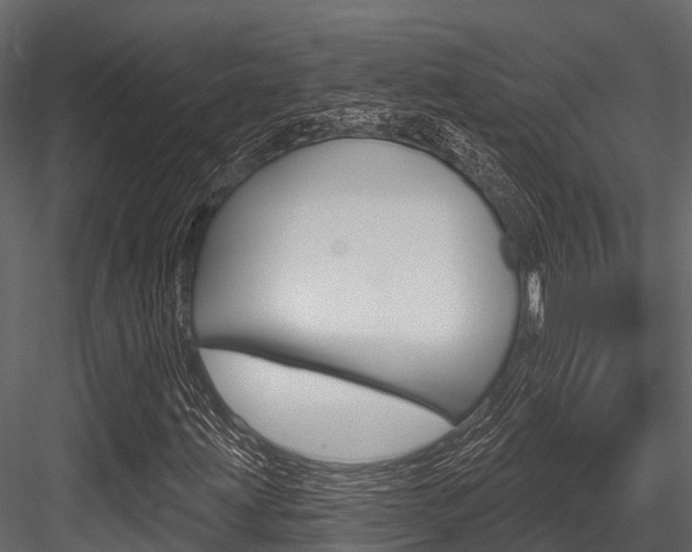 X0000084561203200702230952