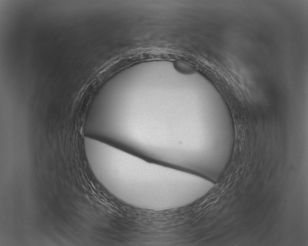 X0000084561207200702230952