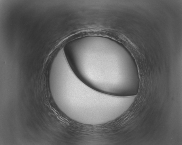 X0000084561208200702230952