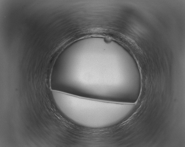 X0000084561209200702230952