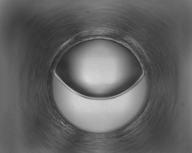 X0000084561210200702230952