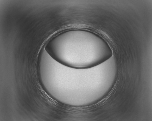 X0000084561212200702230952