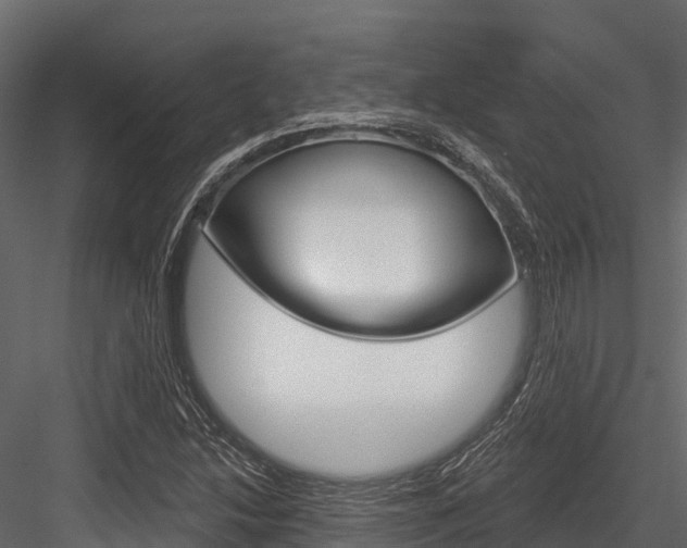 X0000084561214200702230952