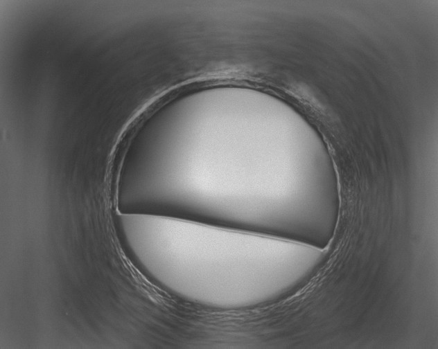 X0000084561216200702230953