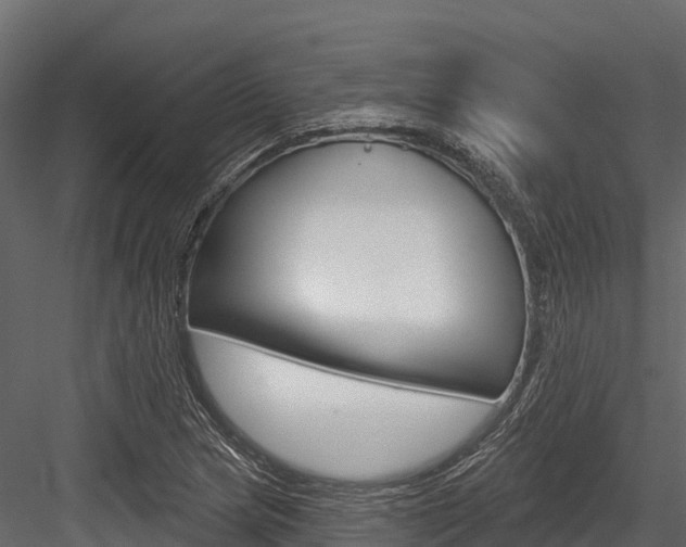 X0000084561217200702230953