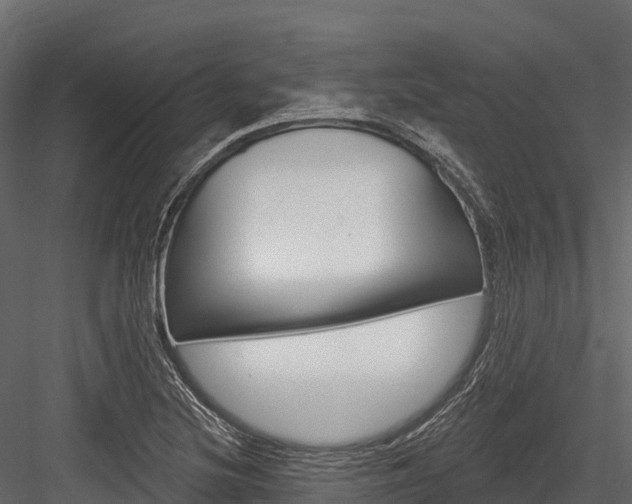 X0000084561220200702230953