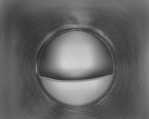 X0000084561221200702230953